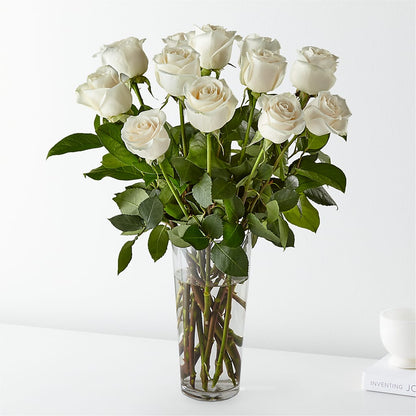Long Stem White Rose Bouquet –  Panda Flowers Canada Inc, Calgary AB